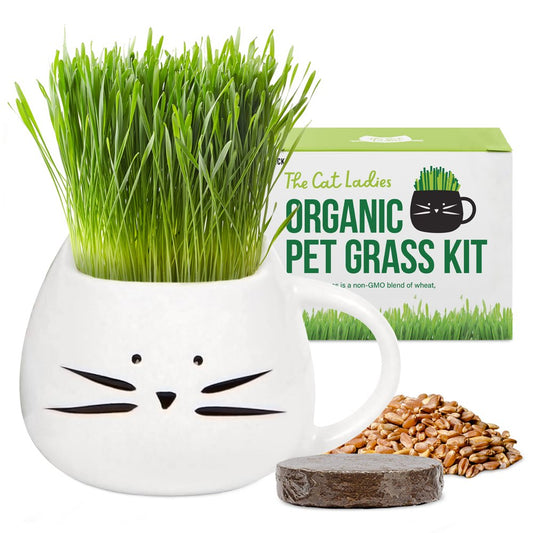 The Cat Ladies Organic Cat Grass Growing Kit with Organic Seed Mix, Organic Soil and Cat Planter, Natural Hairball Control and Remedy Animals & Pet Supplies > Pet Supplies > Cat Supplies > Cat Treats The Cat Ladies   