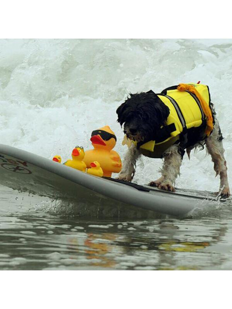 Dog Life Jacket Adjustable Dog Lifevest Swimsuit Safety Vest Apparel Lifesaver Preserver Coat for Small Medium Large Puppy with Handle Reflective for Swimming and Boating Animals & Pet Supplies > Pet Supplies > Dog Supplies > Dog Apparel Naturalour   