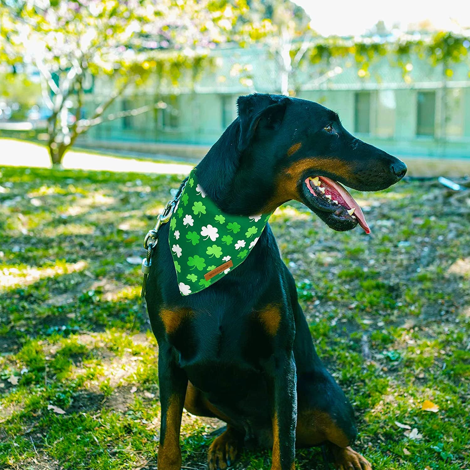 Realeaf St. Patrick'S Day Dog Bandanas 2 Pack, Triangle Reversible Pet Scarf for Boy and Girl, Premium Durable Fabric, Multiple Sizes Offered, Bandana for Medium and Large Dogs (Large) Animals & Pet Supplies > Pet Supplies > Dog Supplies > Dog Apparel Realeaf   