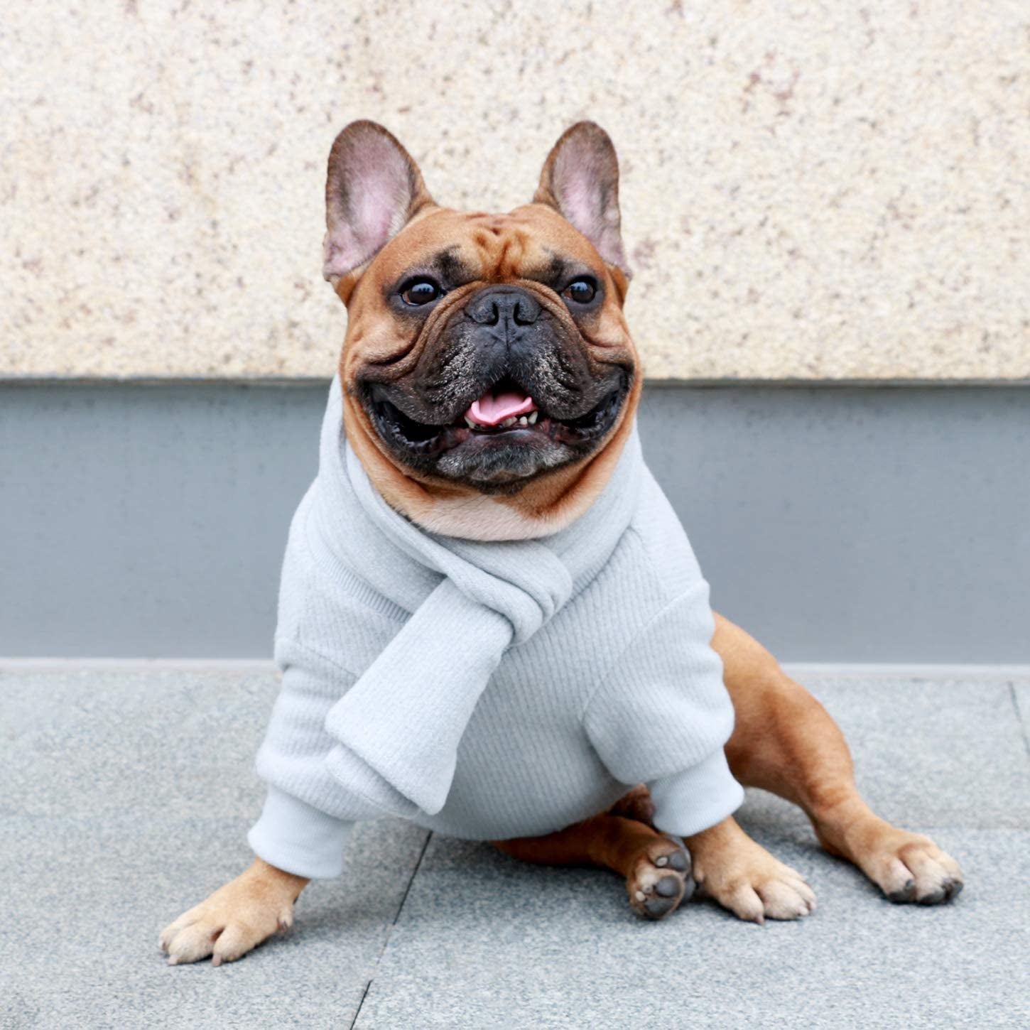 Ichoue Pet Dog Knitted Sweater with Matching Scarf Knitwear Winter Warm Clothes Cold Weather Coat for French Bulldog Pug Boston Terrier - Grey/Large Animals & Pet Supplies > Pet Supplies > Dog Supplies > Dog Apparel iChoue   