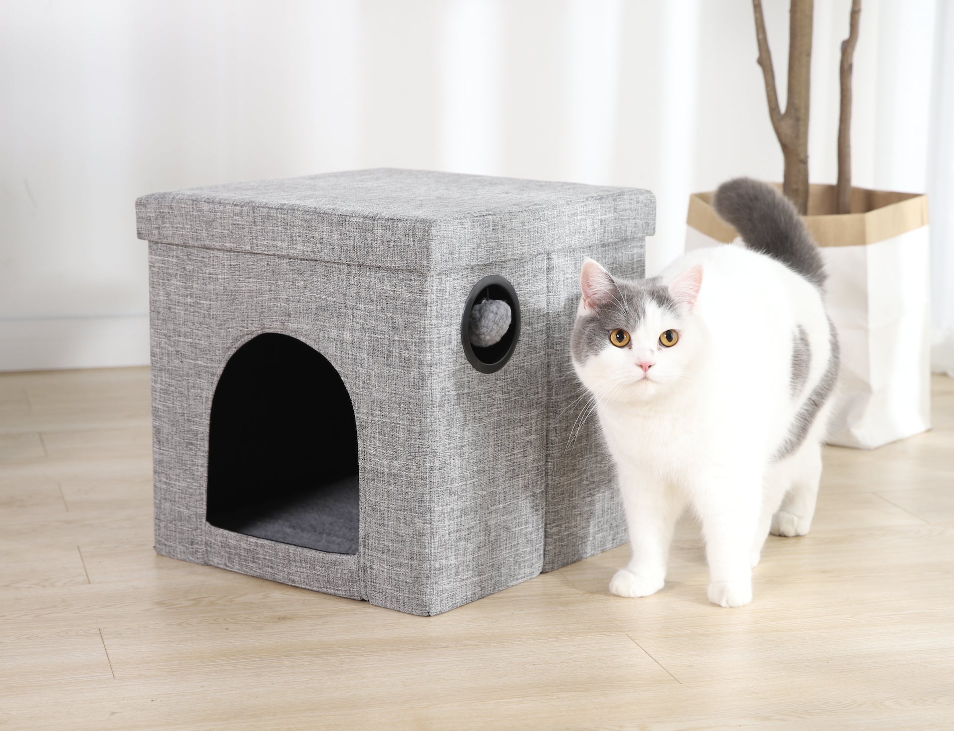 Vibrant Life Large Cat Litter Box 