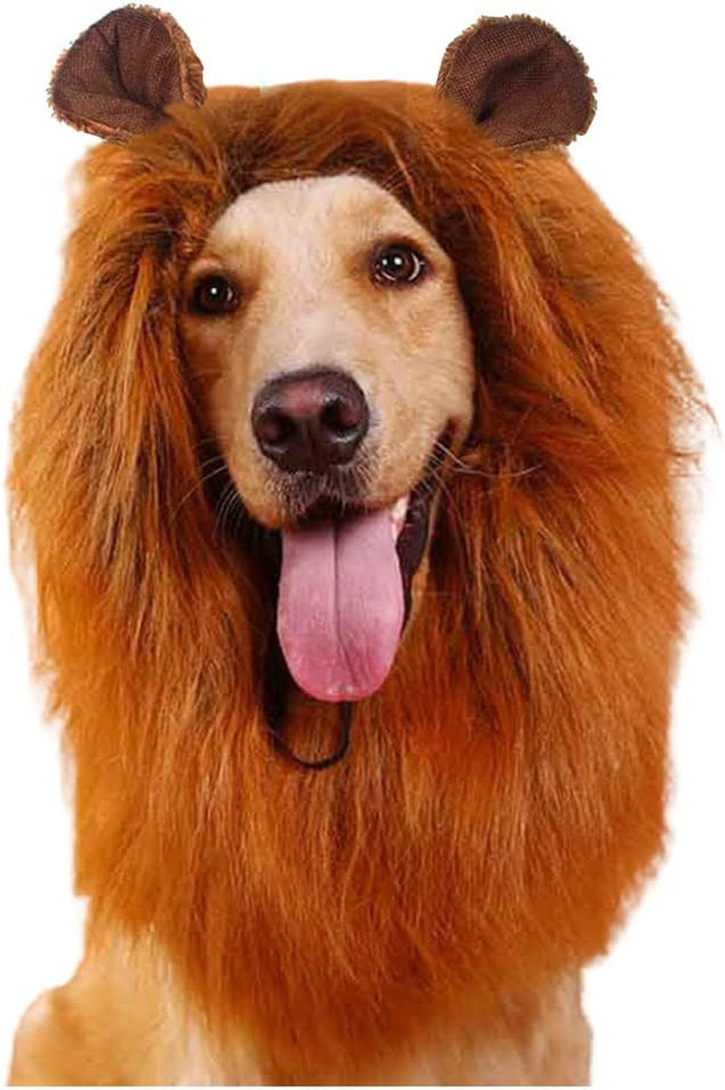 Yolsun Cat Halloween Pumpkin Costume Puppy Kitten Pumpkin Hat Headdress for Halloween Cosplay Dress Up Animals & Pet Supplies > Pet Supplies > Dog Supplies > Dog Apparel YOLSUN Lion-1 One Size 