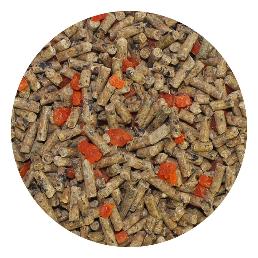 Exotic Nutrition Sugar Glider Diet with Papaya & Eucalyptus 2 Lb. Animals & Pet Supplies > Pet Supplies > Small Animal Supplies > Small Animal Food Exotic Nutrition   