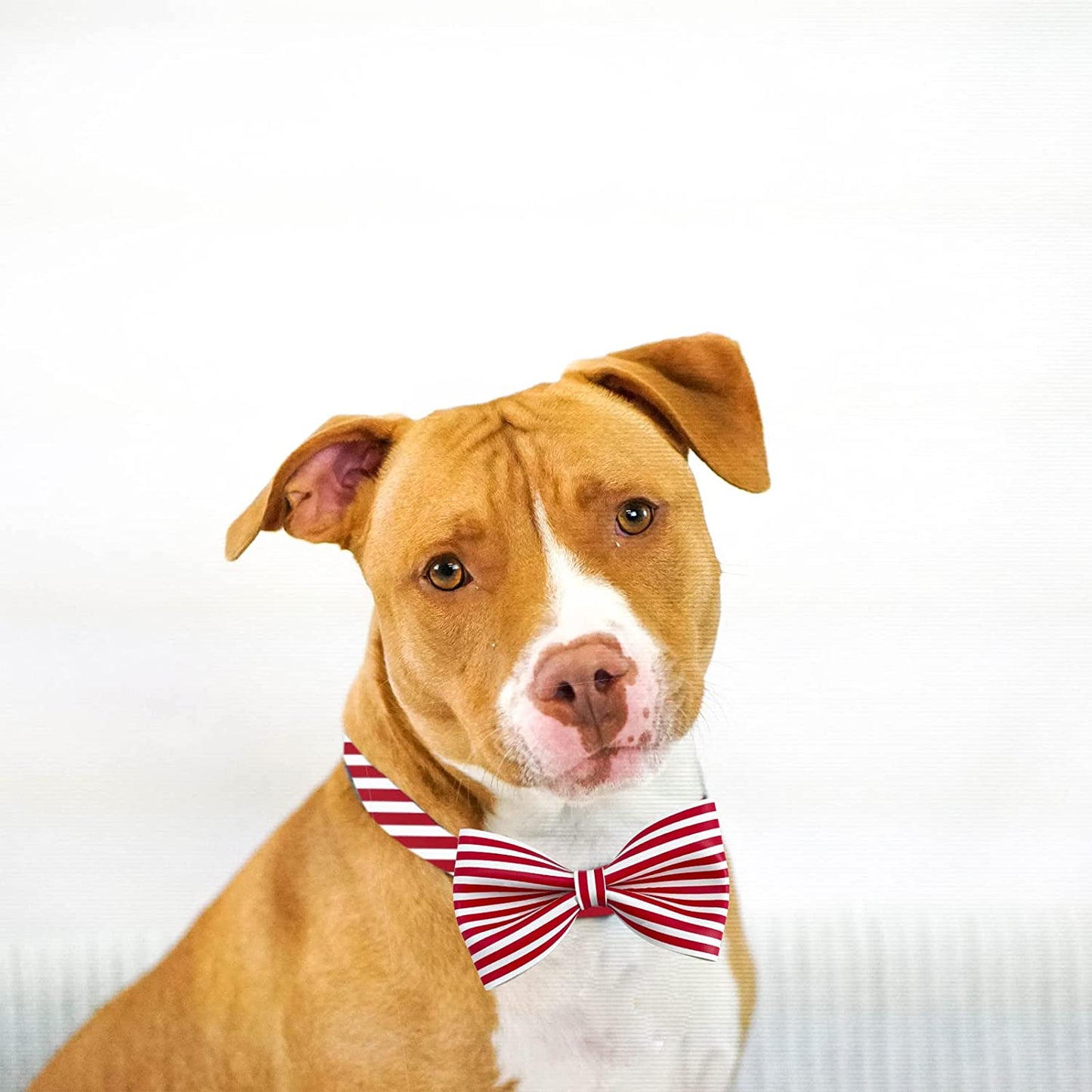 Wondrella Red Striped Printed Leather Dog Collar-Adorable Girl and Boy Dog Collar, Adjustable Bowtie Dog Collars with Metal Buckle for Medium Dogs Animals & Pet Supplies > Pet Supplies > Dog Supplies > Dog Apparel Wondrella   