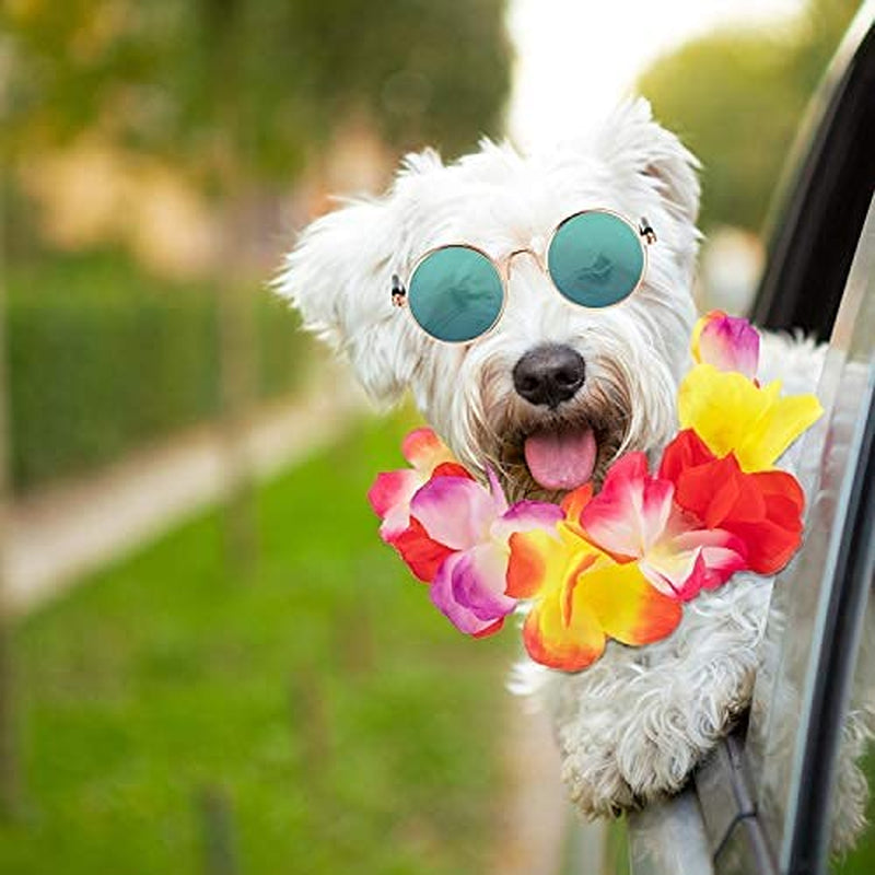 3 Pieces Pet Dog Hawaiian Costume, Includes Puppy Dog'S Cool T-Shirts Summer Clothes, Funny Cute Dog Retro Fashion Sunglasses and a Colorful Wreath for Small to Medium Dog (Green Series) Animals & Pet Supplies > Pet Supplies > Dog Supplies > Dog Apparel Geyoga   