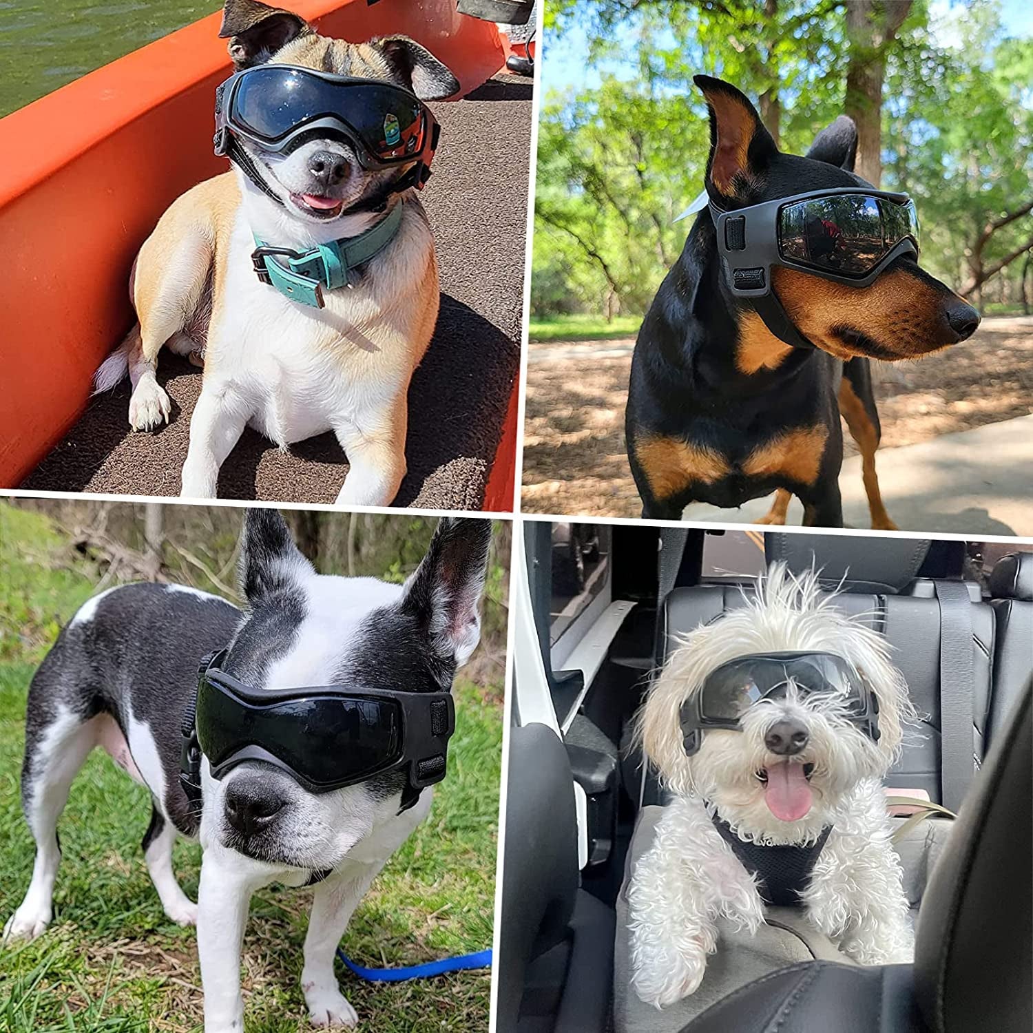 NAMSAN Dog Goggles Medium anti UV Glare Dog Sunglasses for Small to Medium Dogs Motorcycle Glasses Adjustable Doggy Protective Eyewear, Cool Black Animals & Pet Supplies > Pet Supplies > Dog Supplies > Dog Apparel Namsan   