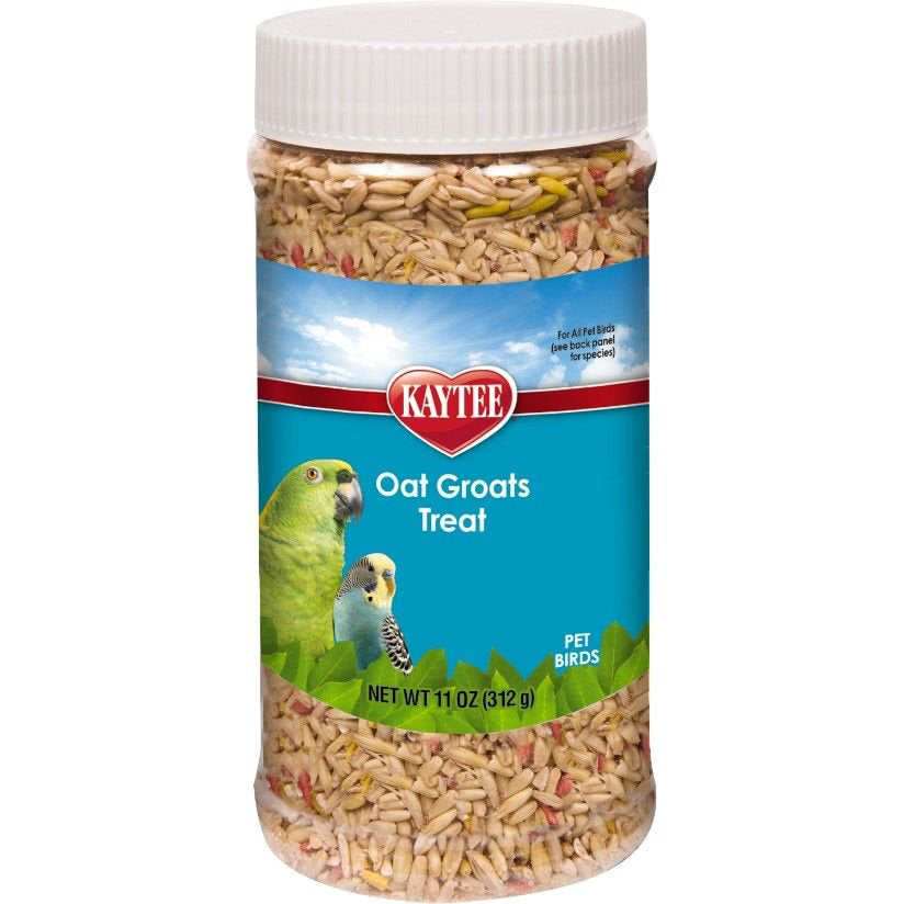 Kaytee Forti-Diet Pro Health Oat Groats Treat - All Birds 11 Oz Pack of 2 Animals & Pet Supplies > Pet Supplies > Bird Supplies > Bird Treats Kaytee   