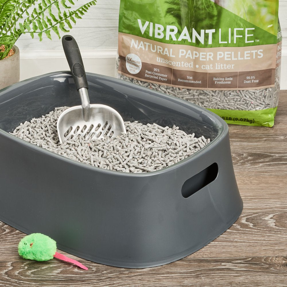 Vibrant Life Natural Paper Pellets Cat Litter, Unscented, 20 Lb Animals & Pet Supplies > Pet Supplies > Cat Supplies > Cat Litter B.P.V. Environmental   