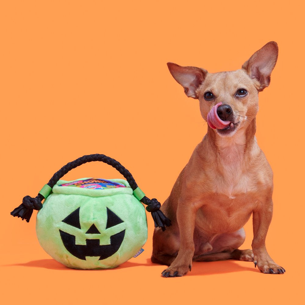 BARK Tricks & Treats Halloween Doggy Bag Dog Toy, Made with T-Shirt Rope, for All Sized Dogs Animals & Pet Supplies > Pet Supplies > Dog Supplies > Dog Toys BARK   