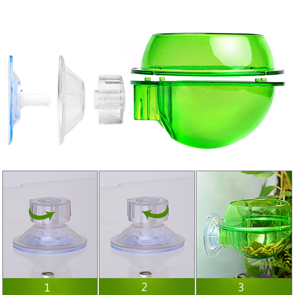 Suction Cup Reptiles Feeder Anti-Escape Amphibians Drinker Bowl Worm Container