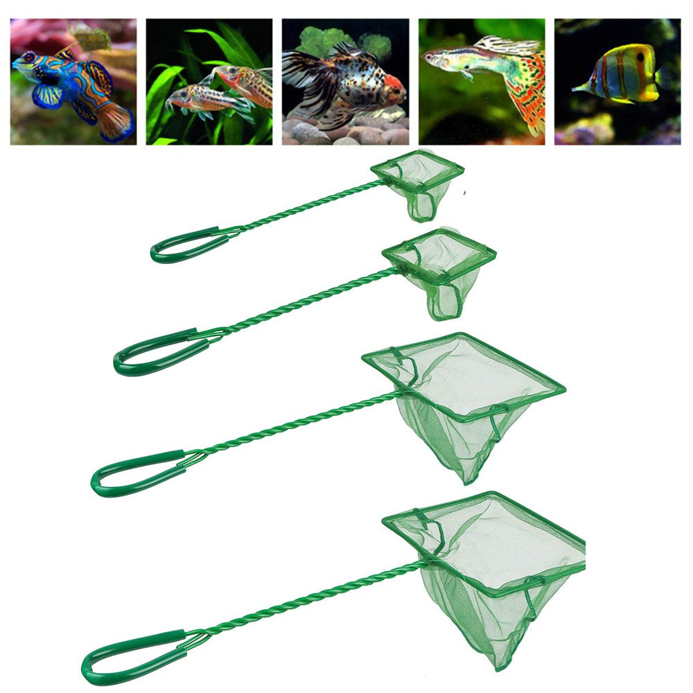 Walbest Aquarium Fish Net Fine Quick Catch Mesh Nylon Fishing Nets for Fish Tank Green Mesh Nets Scoop with Plastic Handle - 3Inch Animals & Pet Supplies > Pet Supplies > Fish Supplies > Aquarium Fish Nets Walbest 10inch  