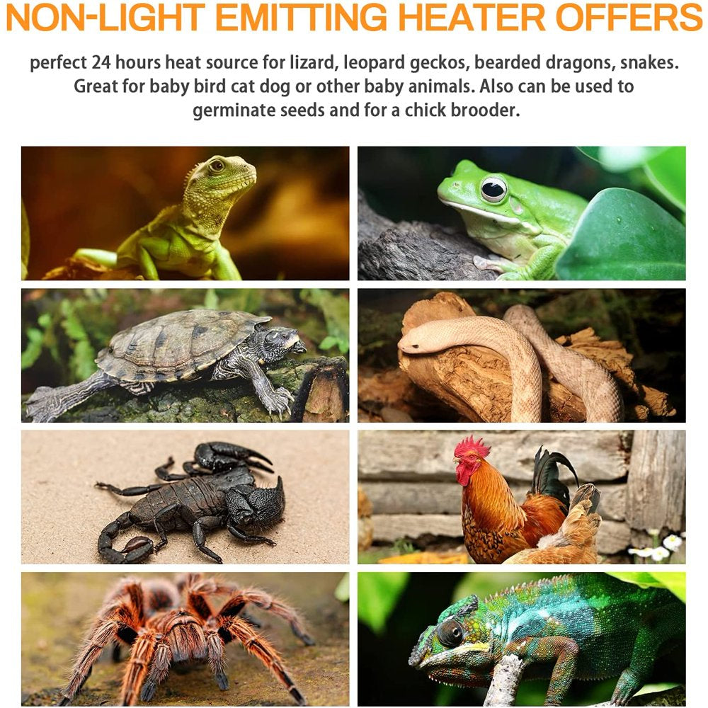 Simple Deluxe 150W Ceramic Heat Emitter Reptile Heat Lamp Bulb No Light Emitting Brooder Coop Heater for Amphibian Pet & Incubating Chicken, 1 Pack/ 2 Pack with Thermometer, Black & White  Simple Deluxe   