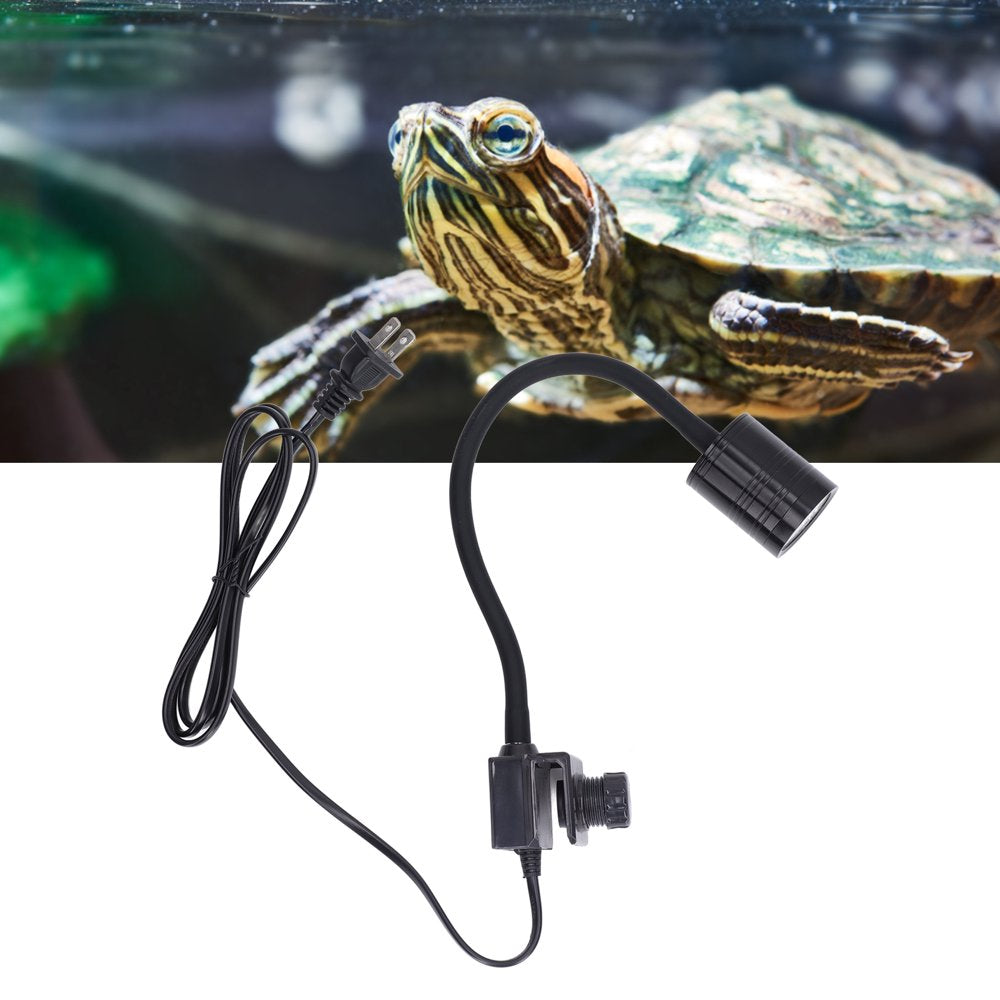 Reptile Basking Light, Professional Wide Range Heat Resistant Reptile Heat Lamp US Plug 110V 5W for Indoor for Amphibian