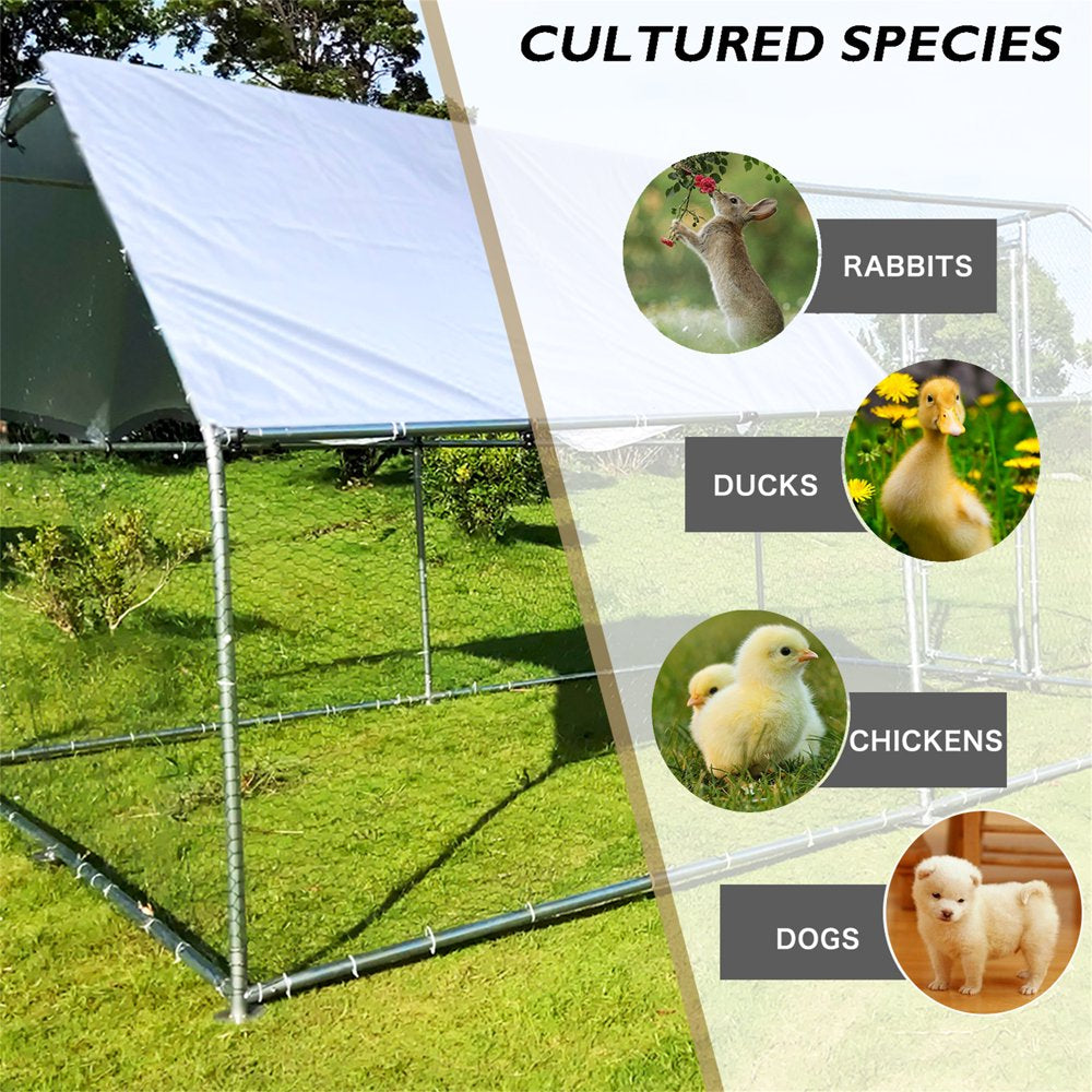 Aukfa Chicken Coop- 25 FT Large Outdoor Chicken Run- Heavy Duty Metal Frame- Flat Roofed Animals & Pet Supplies > Pet Supplies > Dog Supplies > Dog Kennels & Runs AUKFA   