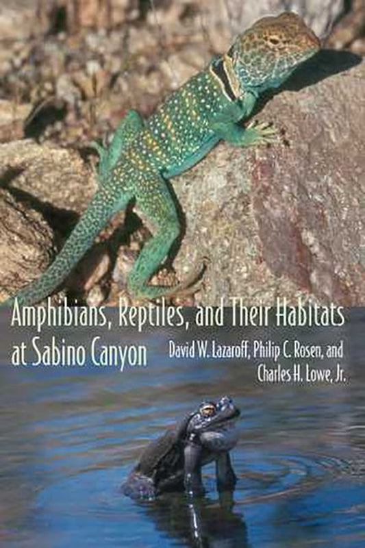 Southwest Center: Amphibians, Reptiles, and Their Habitats at Sabino Canyon (Paperback)