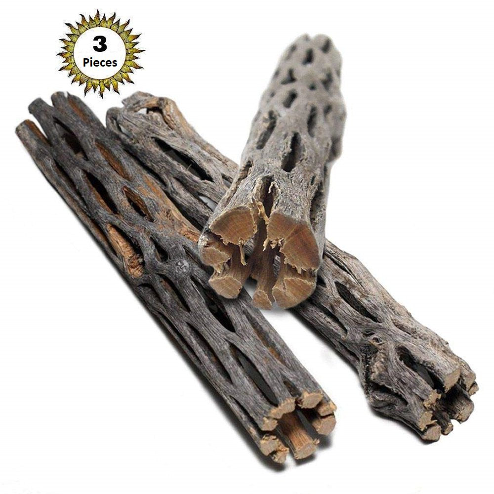 Sungrow Hermit Crab & Leopard Gecko Cholla Wood, for Aquarium Tank Driftwood Decor & Climbing Toy, 6-In, 3 Count Animals & Pet Supplies > Pet Supplies > Fish Supplies > Aquarium Decor Rion PTE. LTD.   