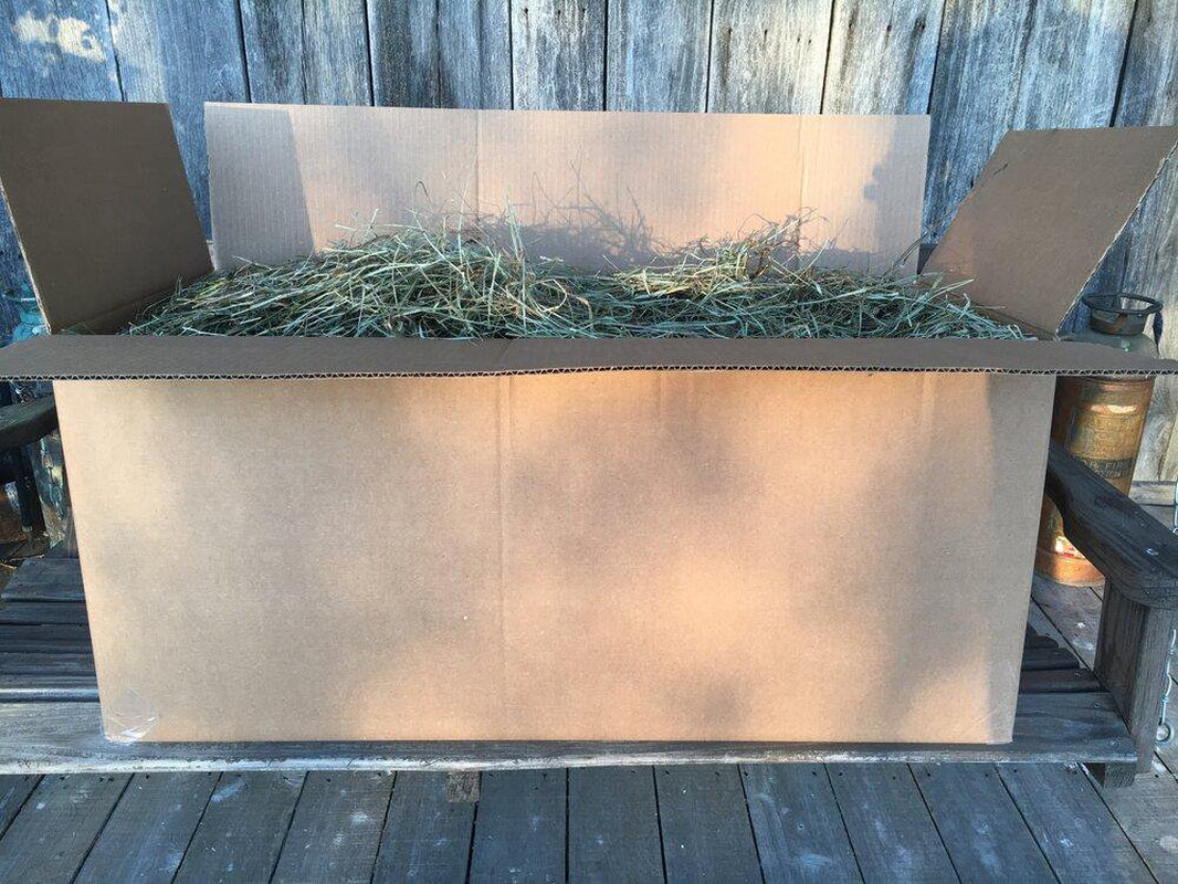 Taul Farms Certified Organic Premium Orchard Grass Clover Hay for Rabbits & Small Pets