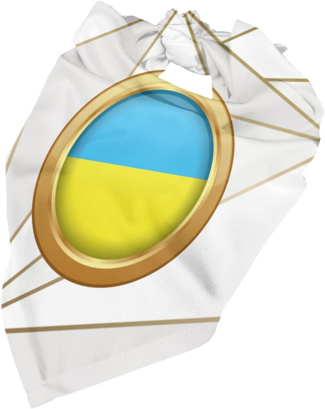 Golden Disc Ukraine Flag Pet Dog and Cat Decorative Triangle Scarf,Dog Bandana,Breathable and Stain Resistant. Animals & Pet Supplies > Pet Supplies > Dog Supplies > Dog Apparel ZALTAS   