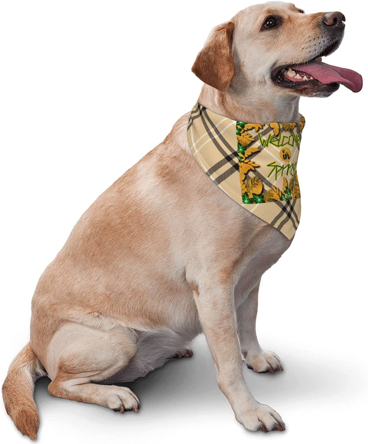 Welcome in Spring Hello Leaf Pet Dog and Cat Decorative Triangle Scarf,Dog Bandana,Breathable and Stain Resistant. Animals & Pet Supplies > Pet Supplies > Dog Supplies > Dog Apparel ZALTAS   