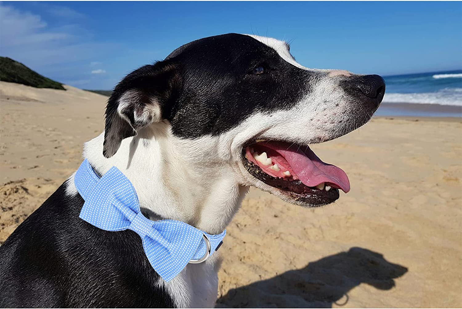 Unique Style Paws Dog Collar with Bow Tie Blue Dot Summer Dog Collar for Small Medium Large Dogs with Adjustable Metal Buckle - M Animals & Pet Supplies > Pet Supplies > Dog Supplies > Dog Apparel Unique style paws   