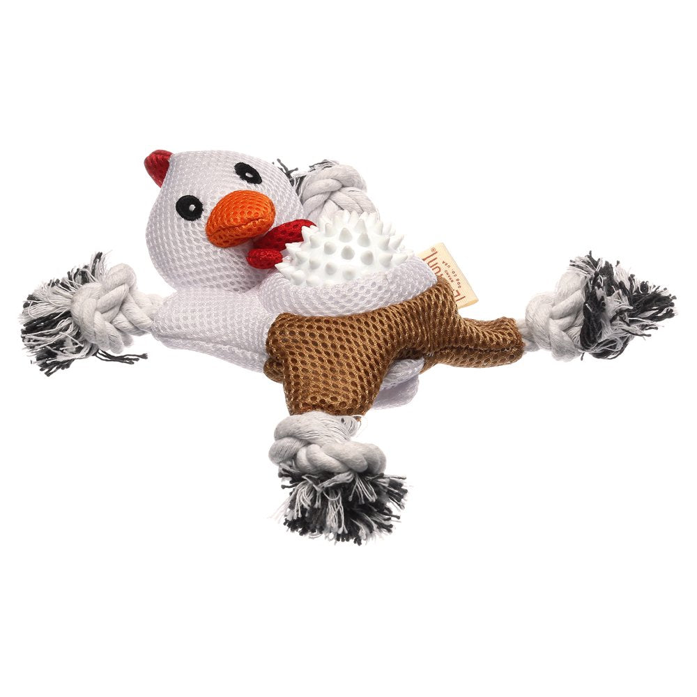 Original Territory Chicken 2-In-1 Dog Toy Animals & Pet Supplies > Pet Supplies > Dog Supplies > Dog Toys 3T Brands   