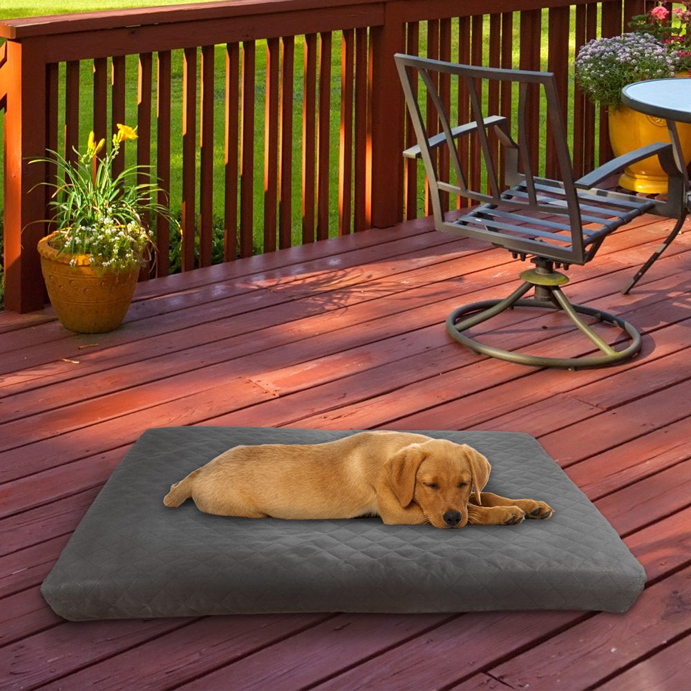 Waterproof Dog Bed – 2-Layer Memory Foam Dog Bed with Removable Machine Washable Cover – 36X27 Dog Bed for Large Dogs up to 75Lbs by PETMAKER (Gray) Animals & Pet Supplies > Pet Supplies > Cat Supplies > Cat Beds Trademark Global LLC   