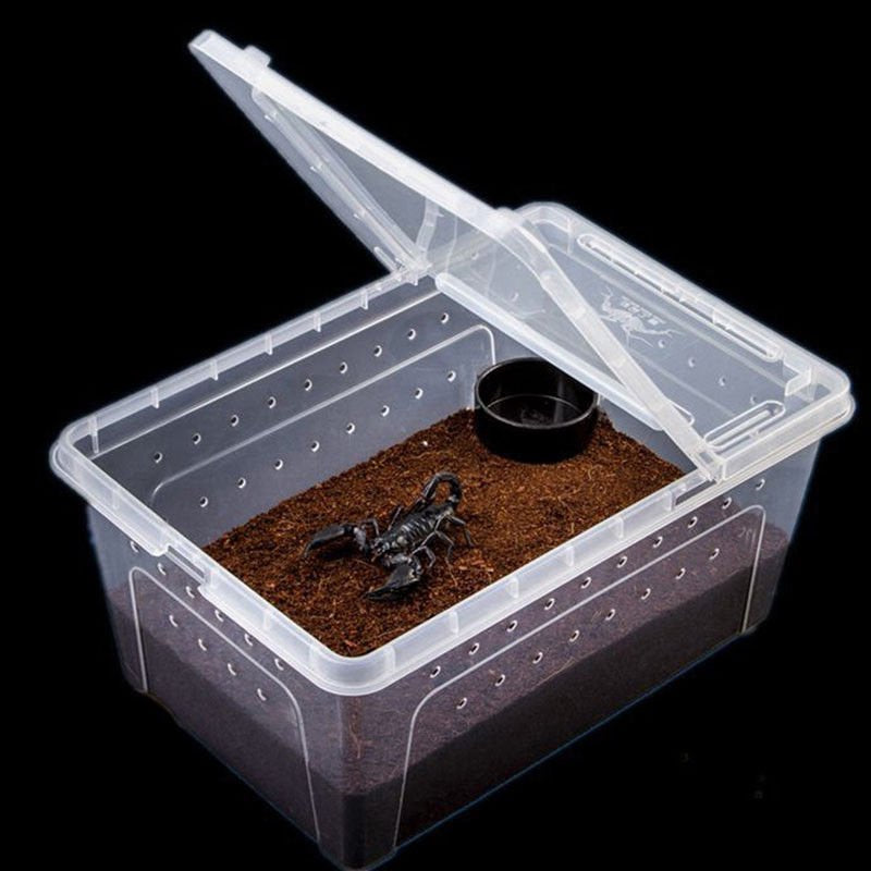 Mulanimo Transparent Feeding Box Reptile Box Amphibian for Snake Cage Lizard Spider Reptile Combination Animals & Pet Supplies > Pet Supplies > Reptile & Amphibian Supplies > Reptile & Amphibian Food Mulanimo   