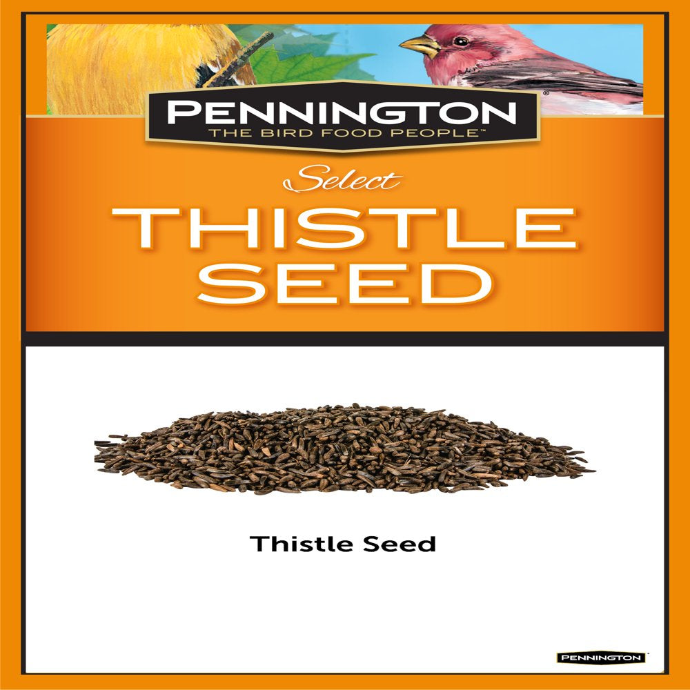 Pennington Select Thistle Seed, Wild Bird Feed and Seed, 20 Lb. Bag Animals & Pet Supplies > Pet Supplies > Bird Supplies > Bird Food CENTRAL GARDEN & PET COMPANY   