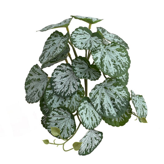 GENEMA Reptile Leave Tropical Plants Amphibian Habitat Accessories Tank Terrarium Decor Simulation Lifelike 3D Printed Leaves Animals & Pet Supplies > Pet Supplies > Small Animal Supplies > Small Animal Habitat Accessories Genema Begonia leaves  