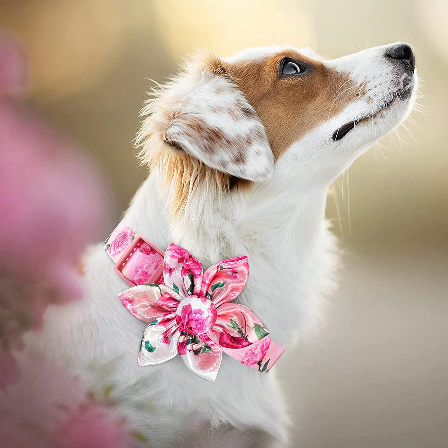 Pink Dog Collar Floral Girl Dog Collar with Rose Flower Bow Tie Dog Collar for Cute Girl Female Cats Dogs Spring Summer Season Dog Collar for Small Medium Large Dogs for Your Furbaby