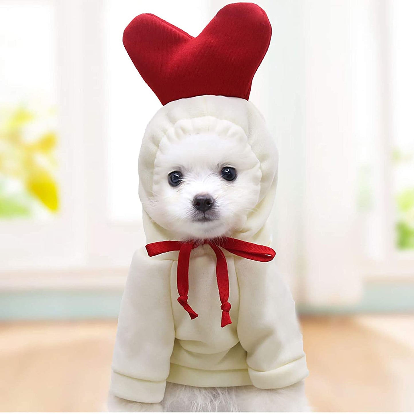 Puppy Sweaters for Small Dogs Girl Clothing Jacket Dog Coat Warm Casual for Dogs Clothes Pet Clothes Animals & Pet Supplies > Pet Supplies > Dog Supplies > Dog Apparel HonpraD   