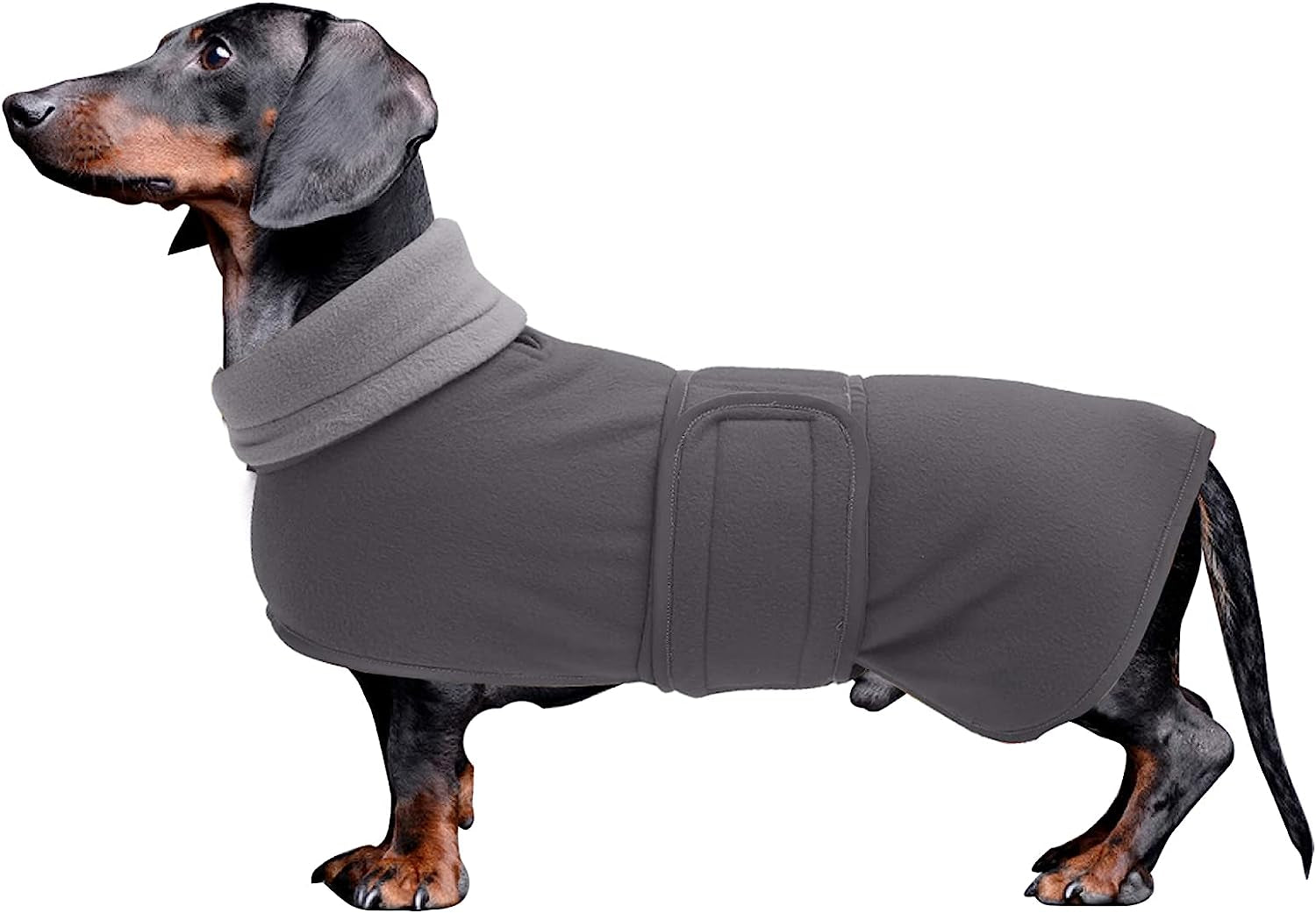 Dachshund Coats Sausage Dog Fleece Coat in Winter Miniature Dachshund Clothes with Hook and Loop Closure and High Vis Reflective Trim Safety - Red - S Animals & Pet Supplies > Pet Supplies > Dog Supplies > Dog Apparel Morezi Gray Medium(Back: 17"-18"in) 