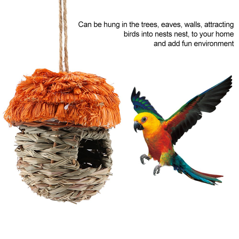 Bird House, Non Toxic Bird , for Rat Animals & Pet Supplies > Pet Supplies > Bird Supplies > Bird Treats FAGINEY   