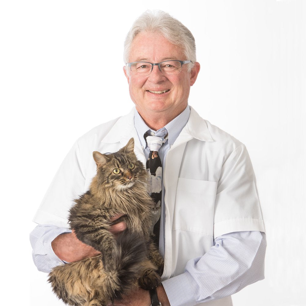 Dr. Elsey'S Precious Cat Respiratory Relief Silica Crystal Cat Litter, 7.5Lb Bag Animals & Pet Supplies > Pet Supplies > Cat Supplies > Cat Litter Precious Cat   