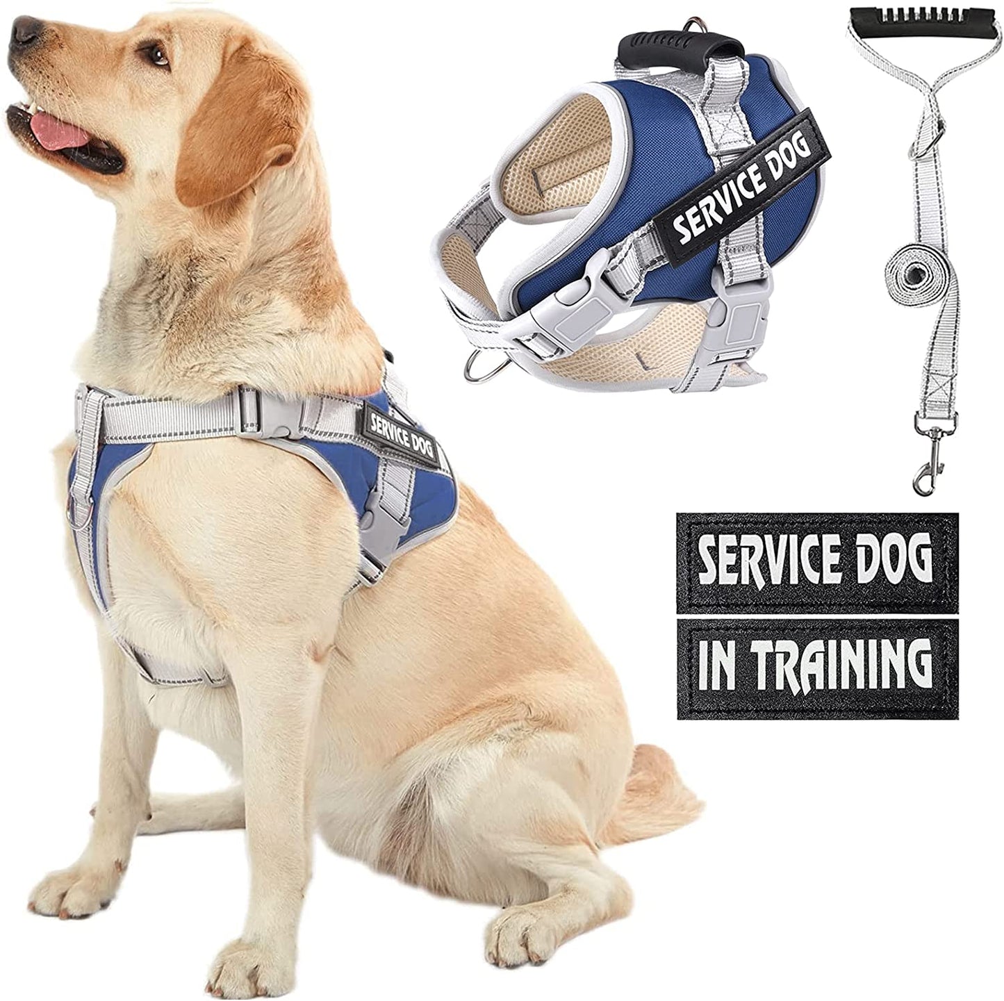 HUSDOW Service Dog Vest Harness, No Pull in Trainning Dog Harnesses with Handle & 5Ft Dog Leash, Adjustable and Reflective No Chock for Small Medum Large Pets Walking and Running(Pink, M)