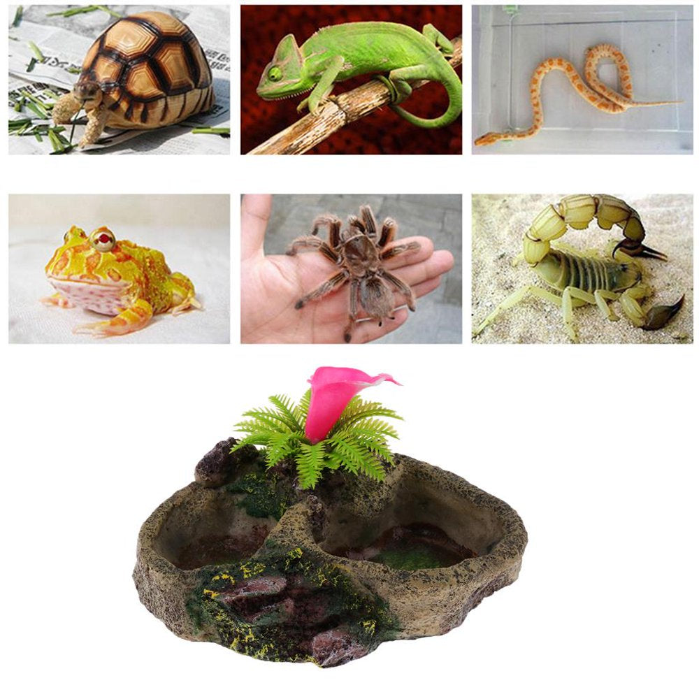 Reptile Feeding Dish, Resin Turtle Food Bowl Also Fit for Bath Aquarium Habitat for S Amphibians - 2 Types Optional 008 Animals & Pet Supplies > Pet Supplies > Reptile & Amphibian Supplies > Reptile & Amphibian Food FITYLE   