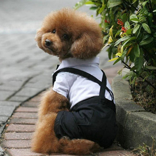 Enlightened Pet Dogs Cats Apparel Male Prince Tuxedo Bow Tie Suit Puppy Costume Jumpsuit Coat S-XL