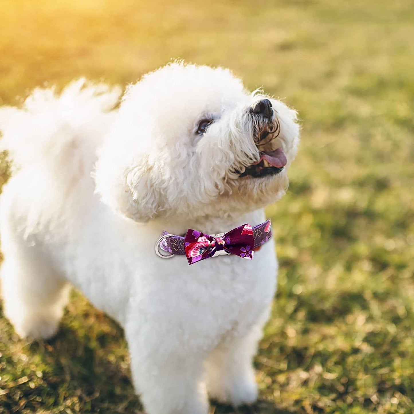 Cat Necktie Collar Patterndog Checked Dog Dog with Bowtie Collar Large Dog Durable Comfortable Medium for Small Pet Collars Animals & Pet Supplies > Pet Supplies > Dog Supplies > Dog Apparel HonpraD   