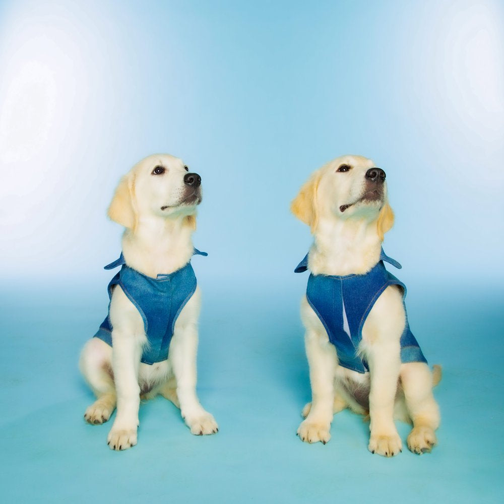Doggy Parton, Dog Clothes, Denim Dog or Cat Jacket, Blue, XS