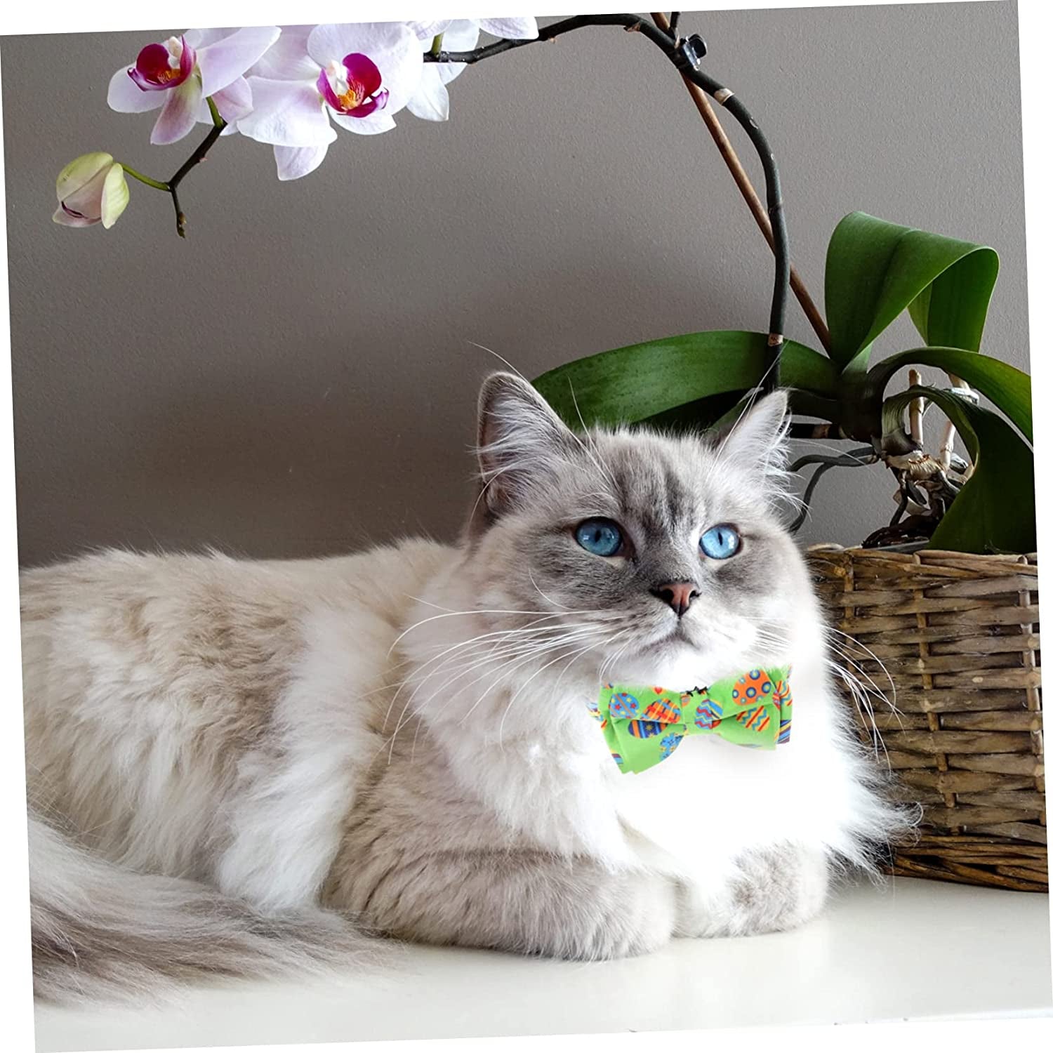 Balacoo Cat Collar Bunny Decor Rabbit Necklace Small Puppy Collar Dog Bow Ties Collar Puppy Collar Necklace Easter Kitten Collar Wear-Resistant Kitten Bowknot Wear-Resistant Cat Collar Pet Animals & Pet Supplies > Pet Supplies > Dog Supplies > Dog Apparel Balacoo   