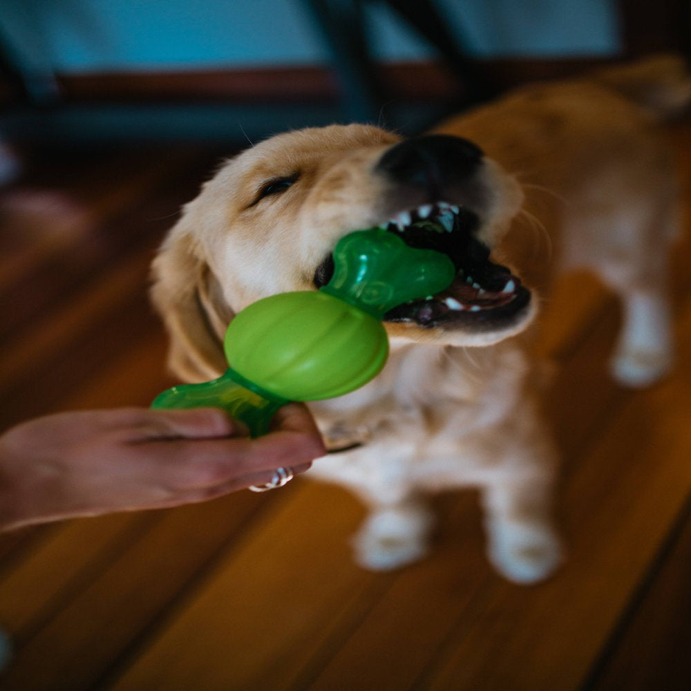 Hyper Pet Durasqueaks Dog Toy Balls and Dog Chews Animals & Pet Supplies > Pet Supplies > Dog Supplies > Dog Toys Hyper Pet   