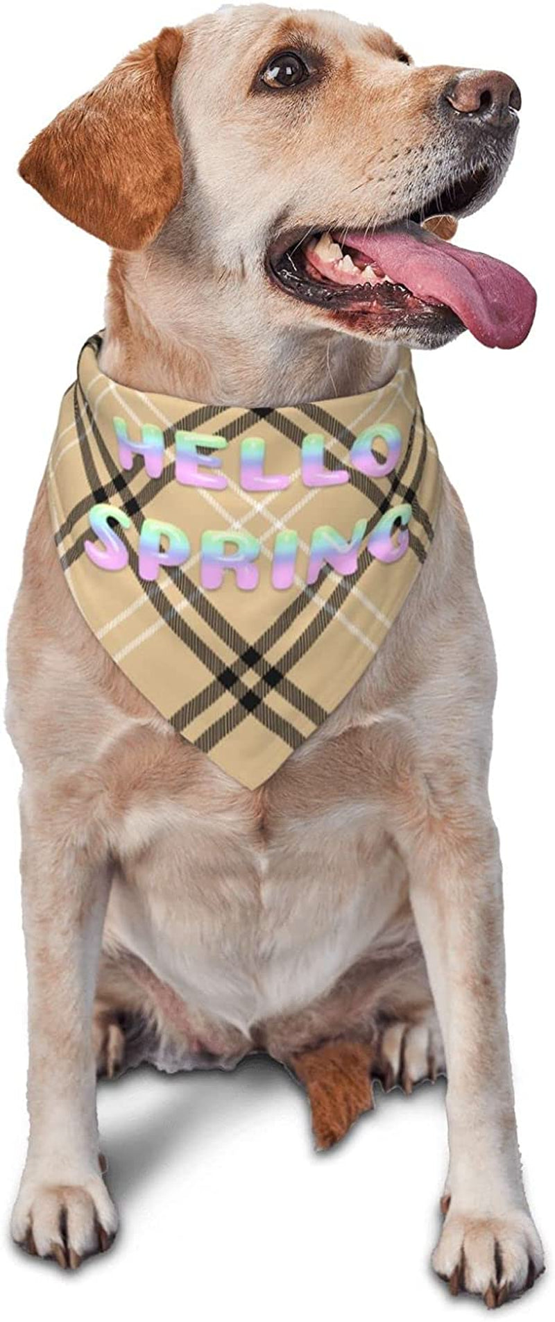 Round Hello Spring Font Gradient Pet Dog and Cat Decorative Triangle Scarf,Dog Bandana,Breathable and Stain Resistant. Animals & Pet Supplies > Pet Supplies > Dog Supplies > Dog Apparel ZALTAS   