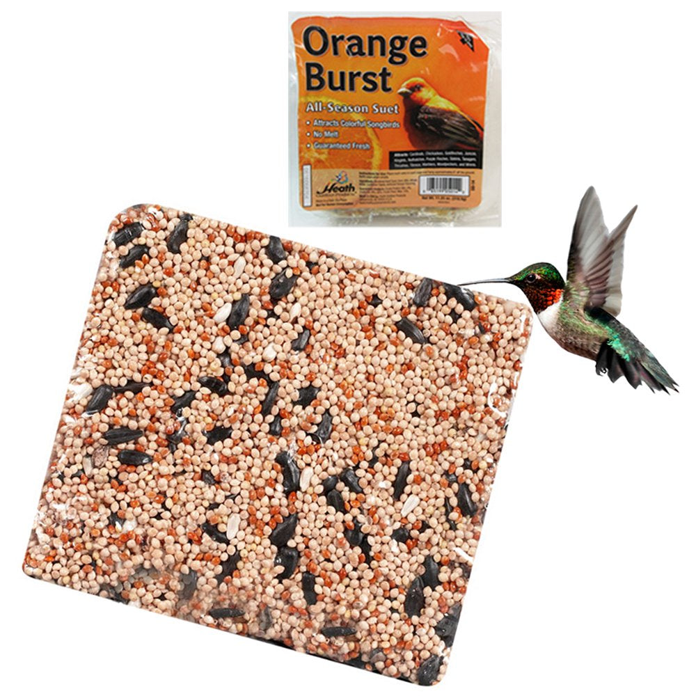 All Season Suet Wild Bird Food Cake Treat 11.25 Oz Heath Outdoor Blueberry Dough Animals & Pet Supplies > Pet Supplies > Bird Supplies > Bird Treats JMK IIT Orange Burst  