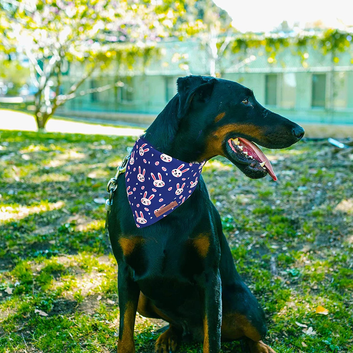 Realeaf Easter Dog Bandanas 2 Pack, Triangle Reversible Pet Scarf for Boy and Girl, Premium Durable Fabric, Multiple Sizes Offered, Bandana for Small Medium Large and Extra Large Dogs (Large) Animals & Pet Supplies > Pet Supplies > Dog Supplies > Dog Apparel Realeaf   