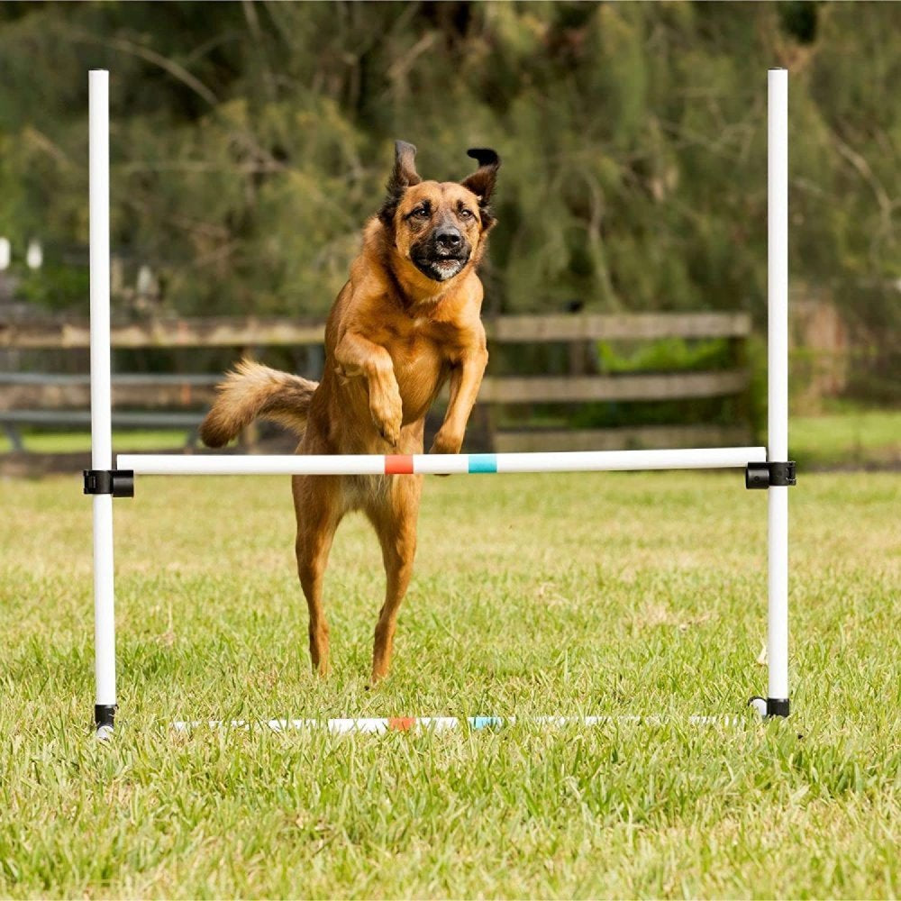 Bilot Dog Agility Bar Jump, 36 Wide. Height of Bar Is Adjustable so That Small to Large Dogs Can Jump over the Bar.