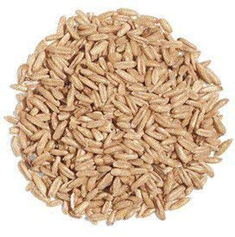 Exotic Nutrition Whole Oats 4 Lb. - Supplemental Food for Degus and Chinchillas Animals & Pet Supplies > Pet Supplies > Small Animal Supplies > Small Animal Food Exotic Nutrition   