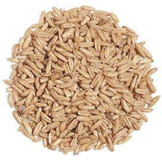 Exotic Nutrition Whole Oats 4 Lb. - Supplemental Food for Degus and Chinchillas Animals & Pet Supplies > Pet Supplies > Small Animal Supplies > Small Animal Food Exotic Nutrition   