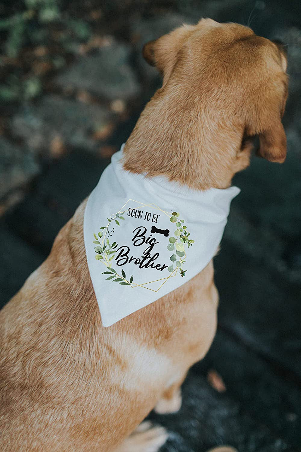 YHTWIN Soon to Be Big Brother White Wreath Pattern Pet Dog Triangle Scarf Bandanas Bibs, Gender Revealing Photo Props Accessories, Pet Dog Lovers Gifts Animals & Pet Supplies > Pet Supplies > Dog Supplies > Dog Apparel YHTWIN   