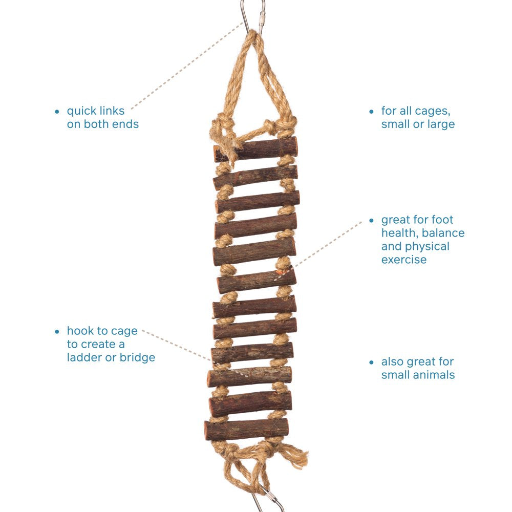 Prevue Pet Products Handmade Natural Wood Rope Ladder Bird Toy Animals & Pet Supplies > Pet Supplies > Bird Supplies > Bird Toys PREVUE PET PRODUCTS   