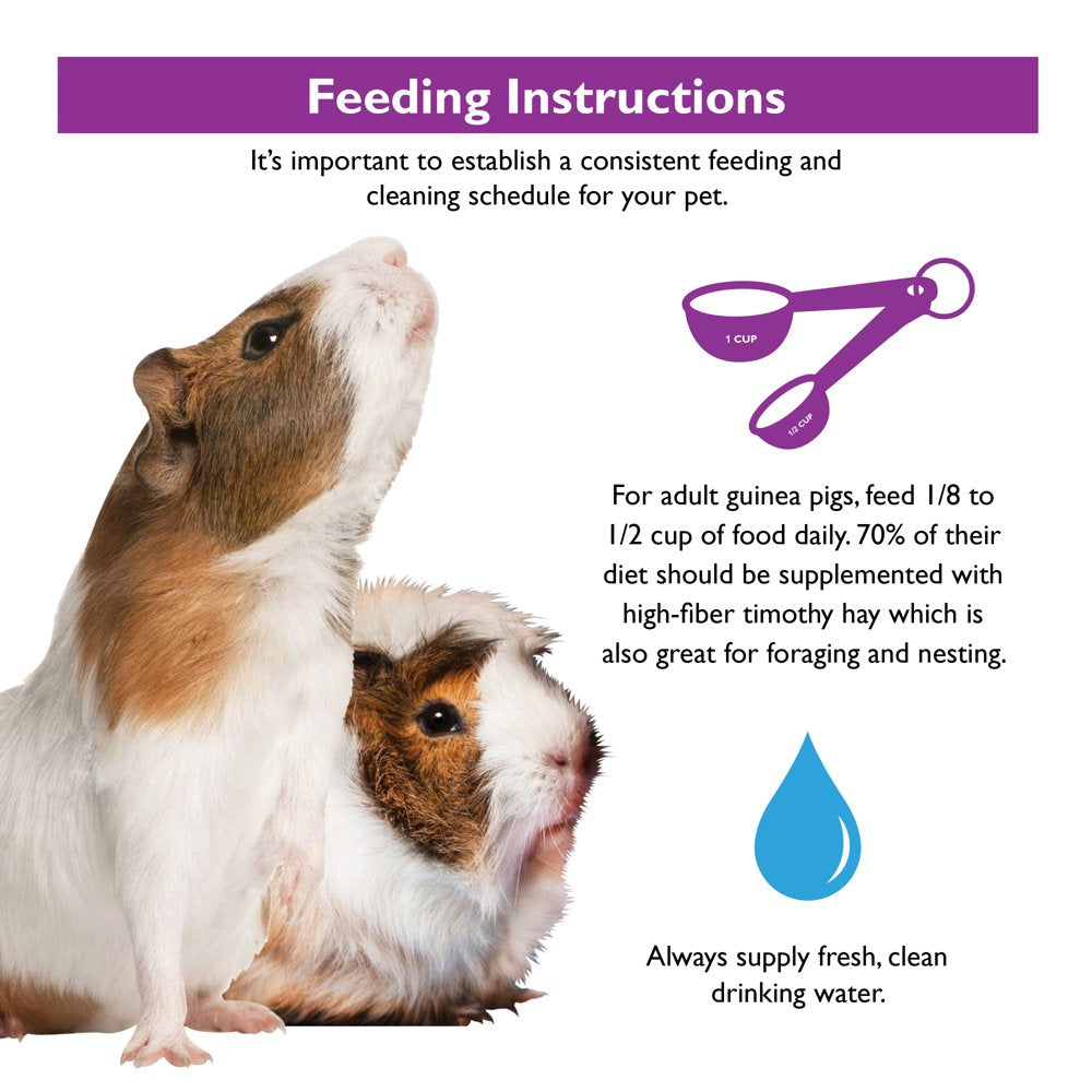 Brown'S Extreme! Gourmet Guinea Pig Food Animals & Pet Supplies > Pet Supplies > Small Animal Supplies > Small Animal Food F.M. Brown's Sons, Inc.   